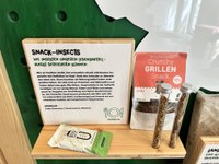 Snacks