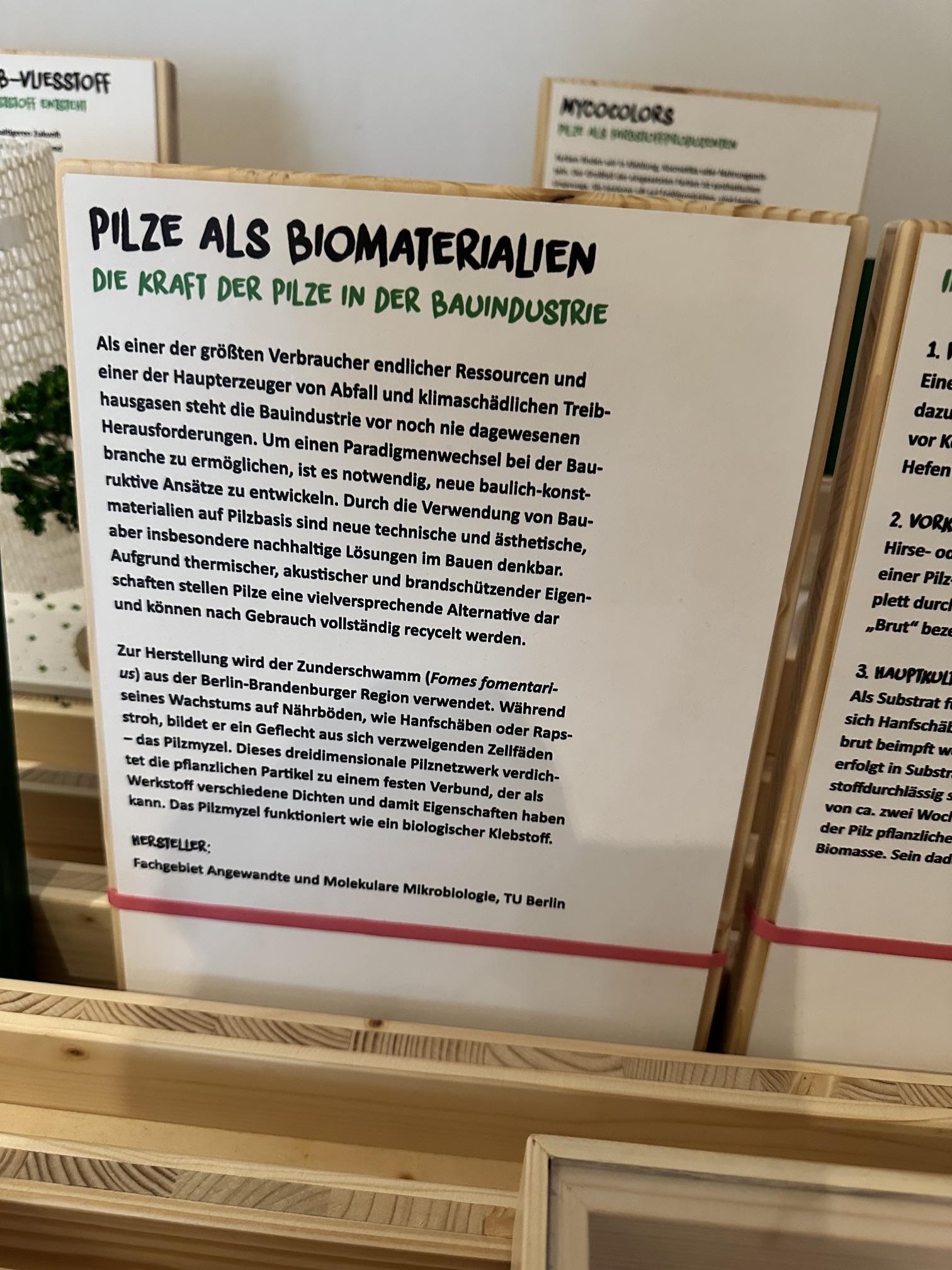 Pilze