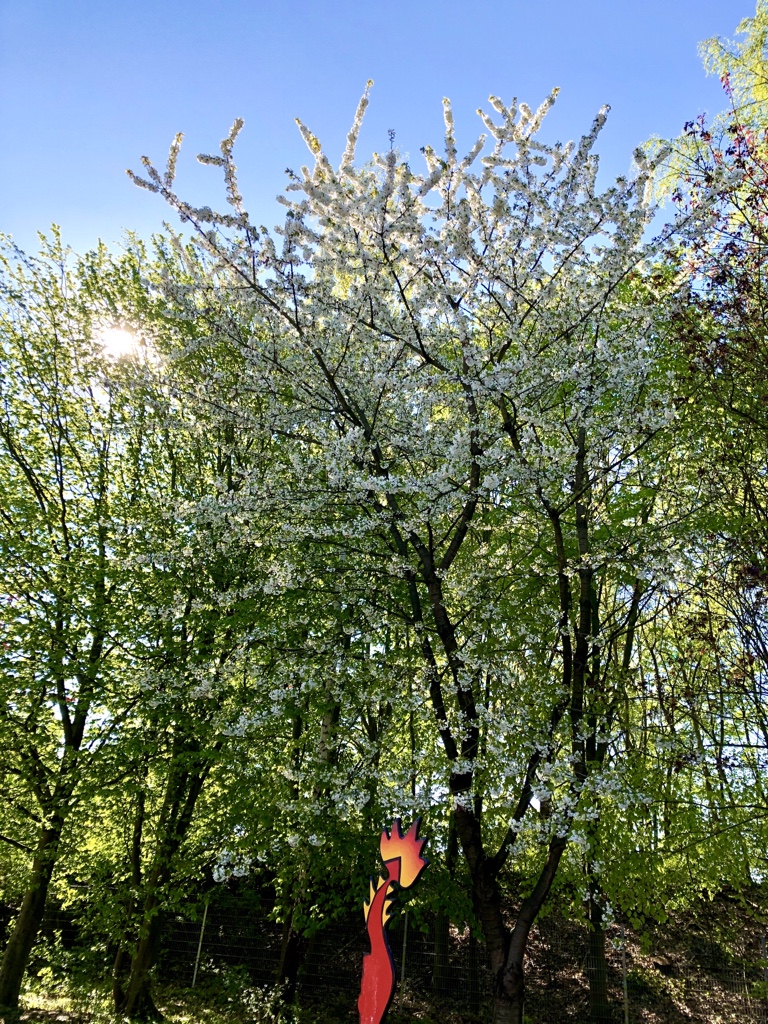 Frühling