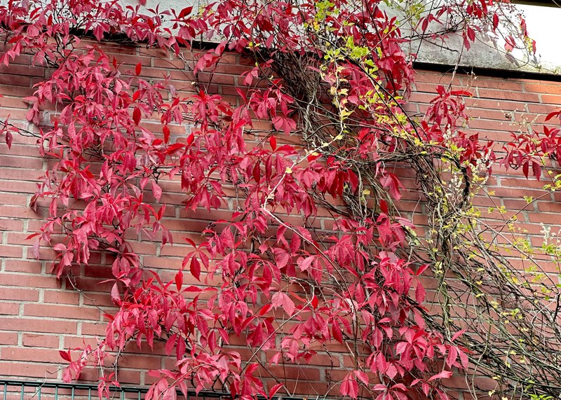 Schöne Herbstferien! Schöne Herbstferien!